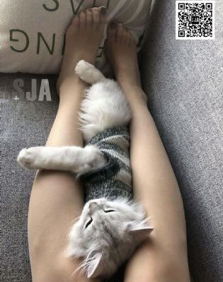 不扣纽扣的女孩电影
