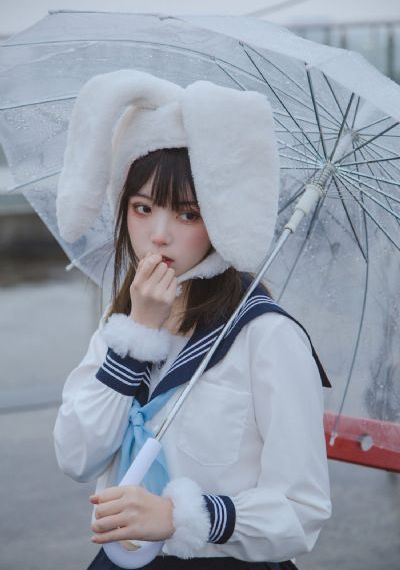 泰迪熊